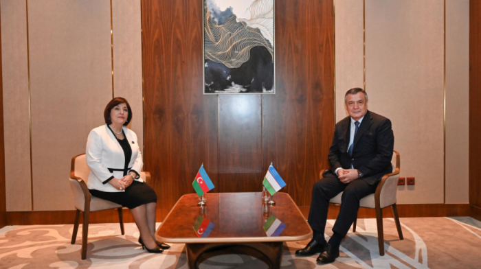Speaker of Azerbaijani Parliament Meets Uzbek Counterpart in Astana