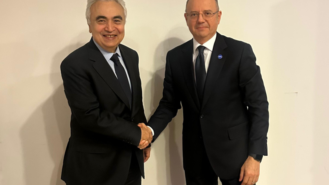 Azerbaijan’s energy minister meets IEA executive director in Brussels