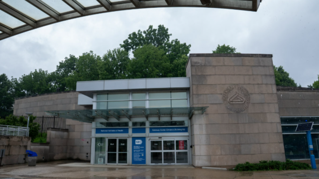 US judge orders NIH to restore diversity research grants cut by Trump administration