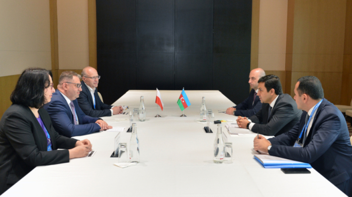 Azerbaijan, Poland boost cooperation on digital tax reforms
