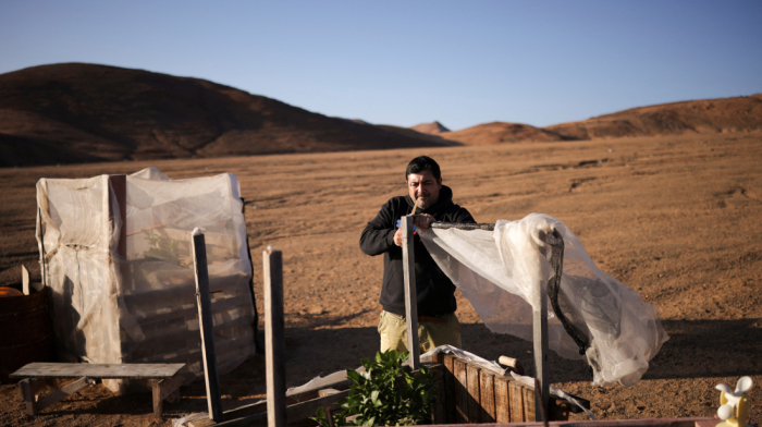 In Chile's Atacama Desert, fog water sustains lettuce and lemon farming