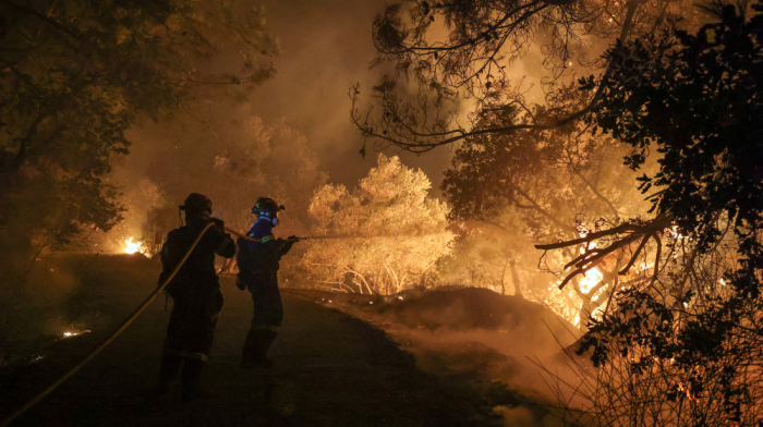 Georgian woman arrested for sparking wildfire on Greek island of Chios