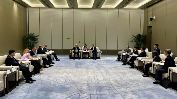 Azerbaijan, China sign new deals to boost green energy and grid development
