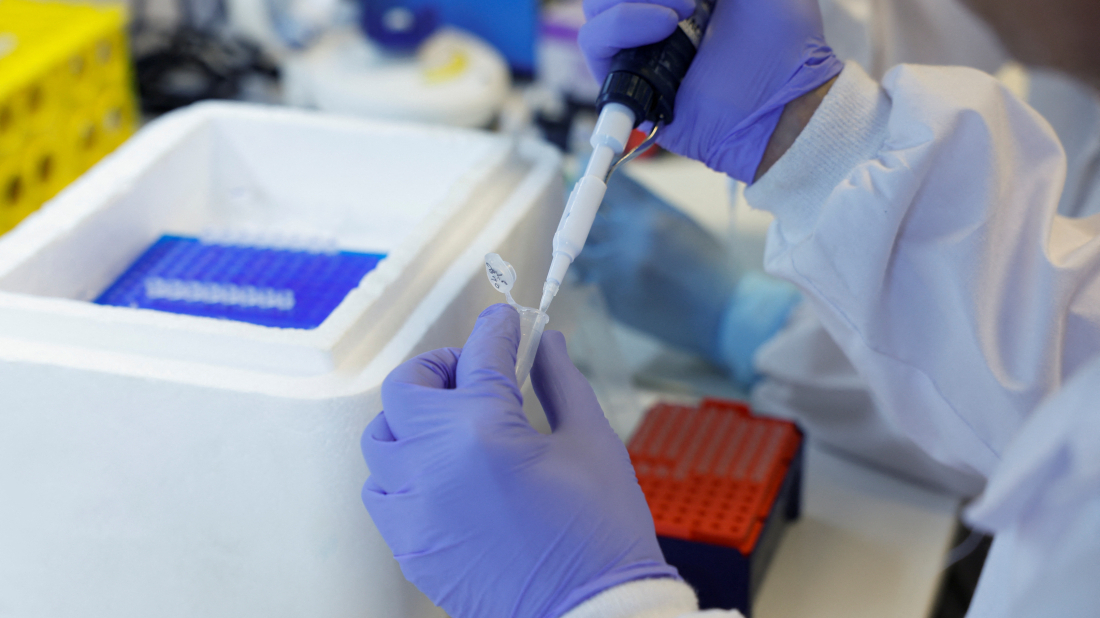 Scientists discover genetic ‘dimmer switch’ controlling embryo development