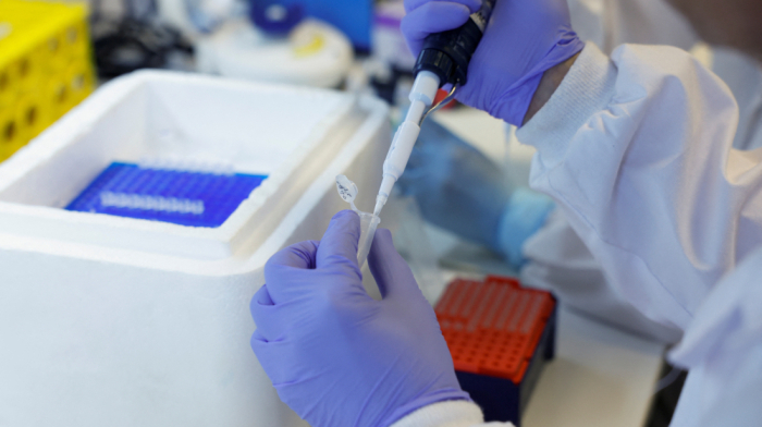 Scientists discover genetic ‘dimmer switch’ controlling embryo development