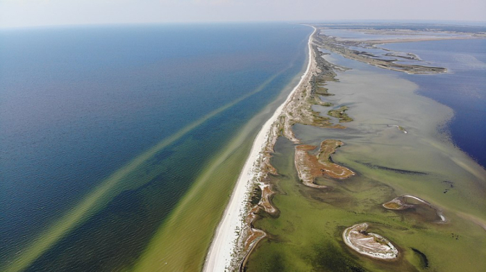 Russia granted special status to the occupied Black Sea Biosphere Reserve