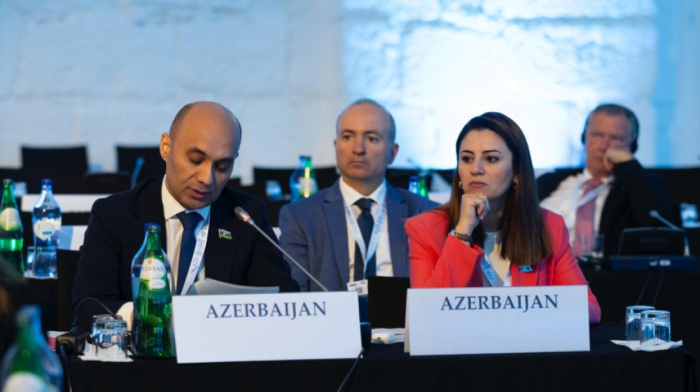 Azerbaijan’s parliamentary delegation attends OSCE PA annual session in Porto