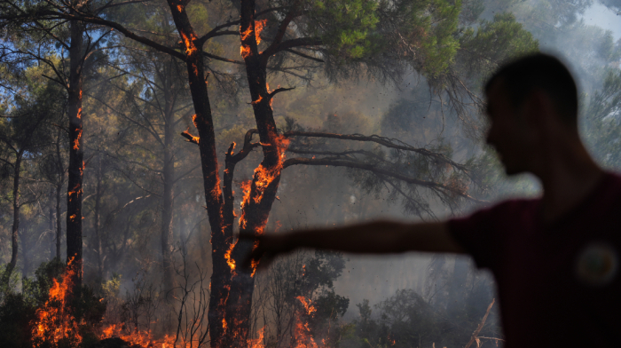 Extreme heatwave causes wildfires in Türkiye