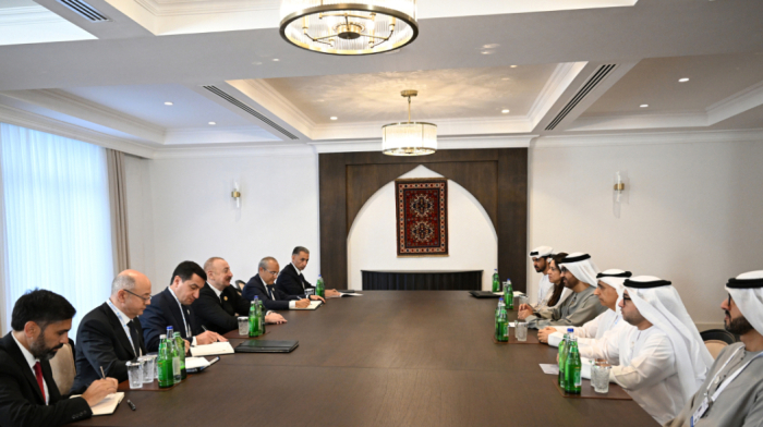 President Ilham Aliyev meets UAE minister to boost strategic partnership