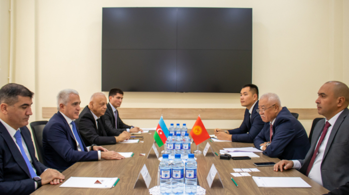 Azerbaijan, Kyrgyzstan discuss energy system collaboration