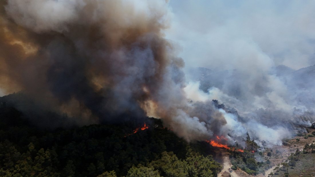 UN teams assess damage as wildfires rage across Syria’s Latakia province