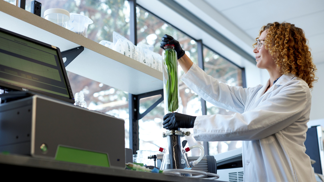 Ancient microbes offer clues to life’s origins and carbon capture