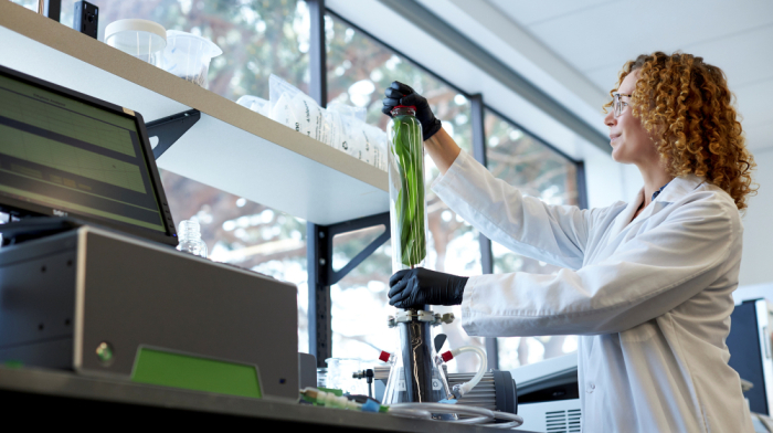 Ancient microbes offer clues to life’s origins and carbon capture