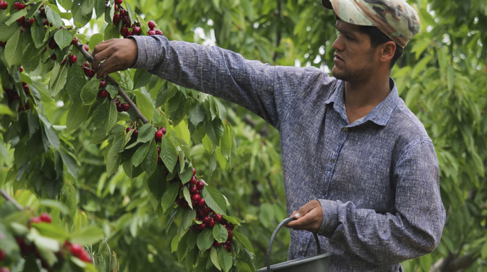 Tajikistan becomes first Central Asian country in FAO’s Global Agricultural Heritage Systems
