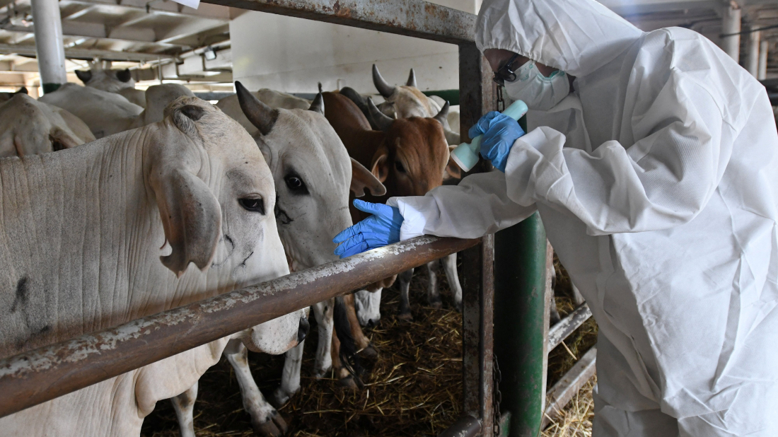 Russia steps up checks after anthrax cases prompt quarantine in central Kazakhstan