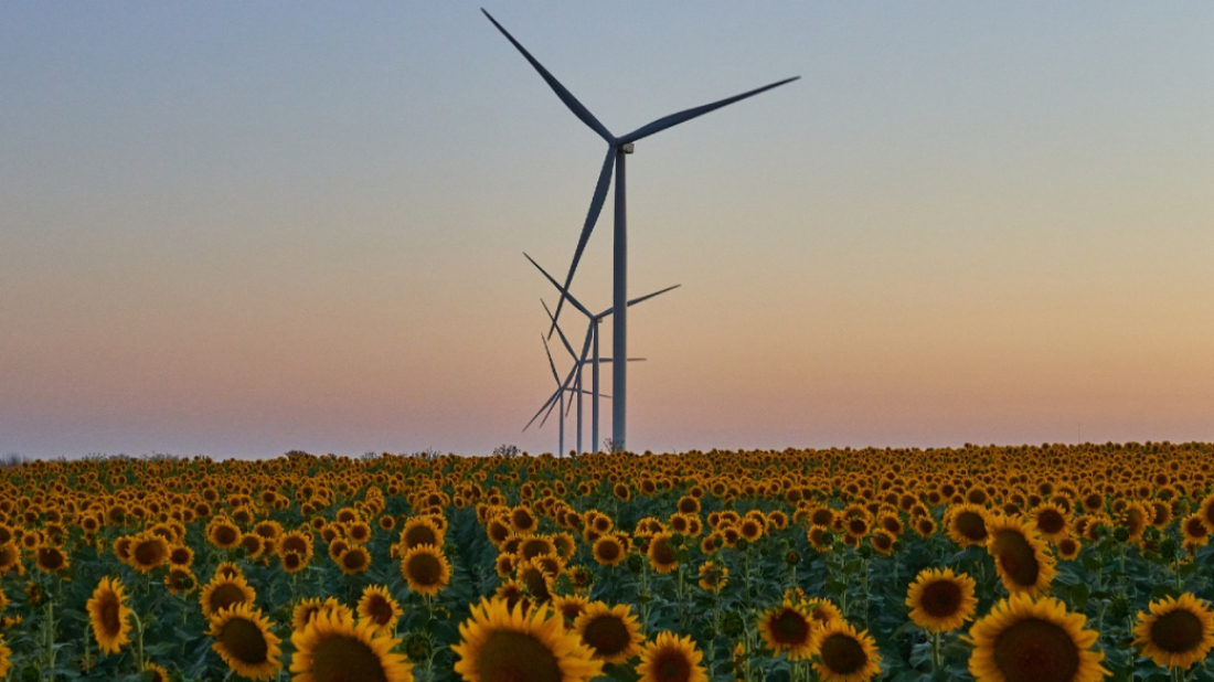 EBRD unveils $1.75bn plan to boost renewables in Ukraine