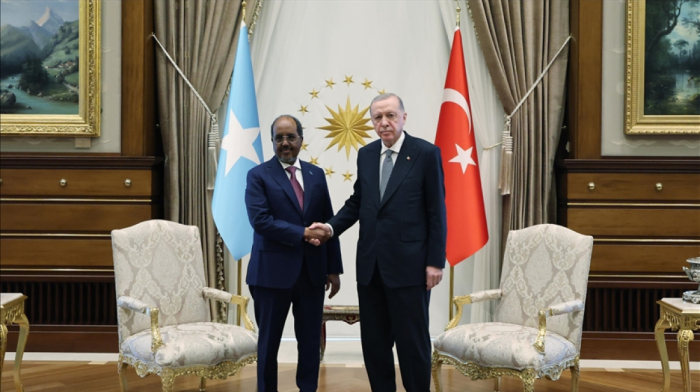 Erdoğan meets Somali president to deepen bilateral ties