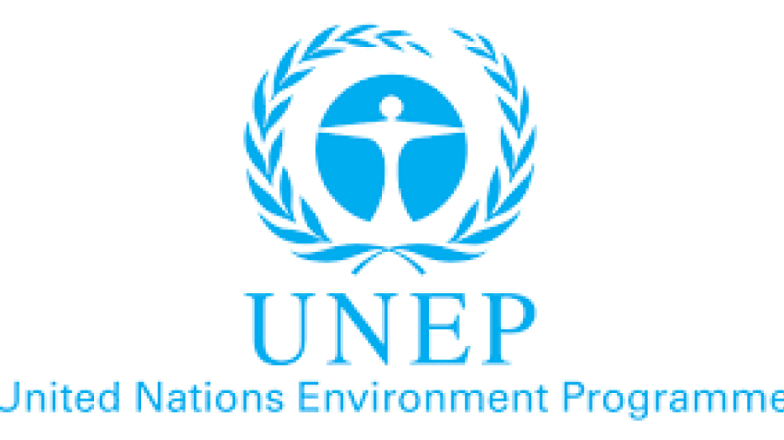 Floods increase risk of banned toxic chemicals entering food and water, UN warns