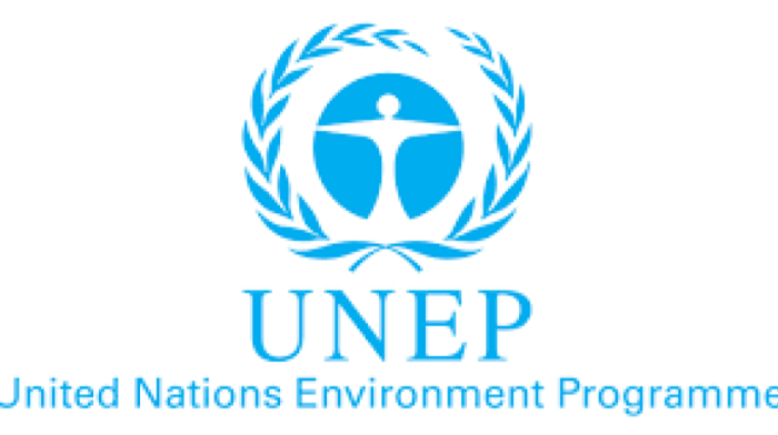 Floods increase risk of banned toxic chemicals entering food and water, UN warns