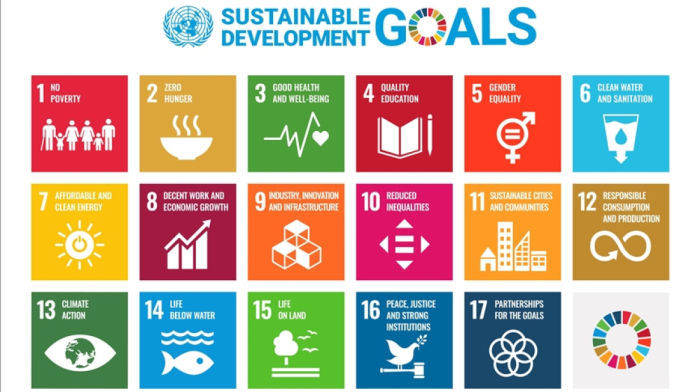 UN Chief: only 35% of sustainable development goals on track