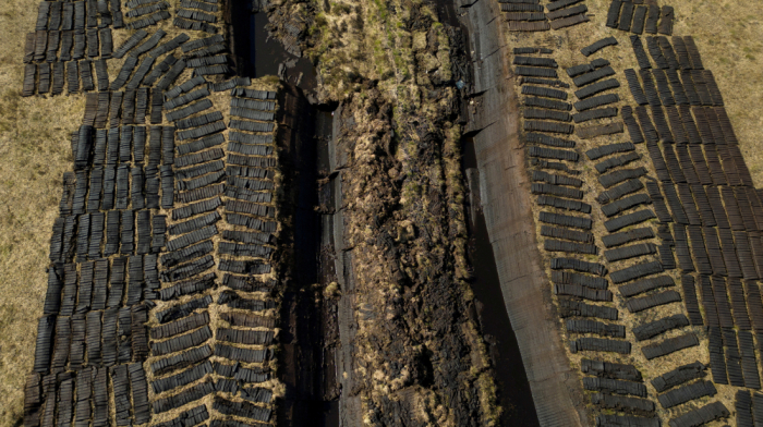 Wetland loss could cost global economy $39 trillion by 2050