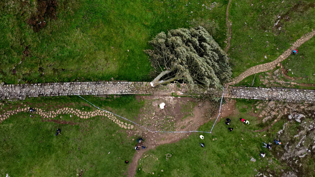 Sentence of four years for men who cut down iconic 'Sycamore Gap' tree in drunken bravado