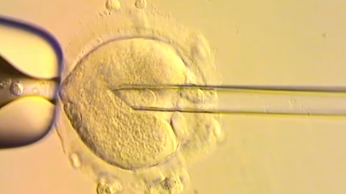 Healthy UK babies born using DNA from three people to prevent genetic disorders