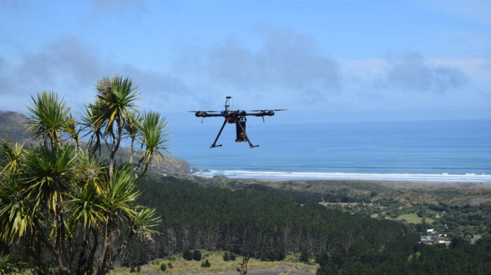 New Zealand uses drones to protect eucalyptus forests