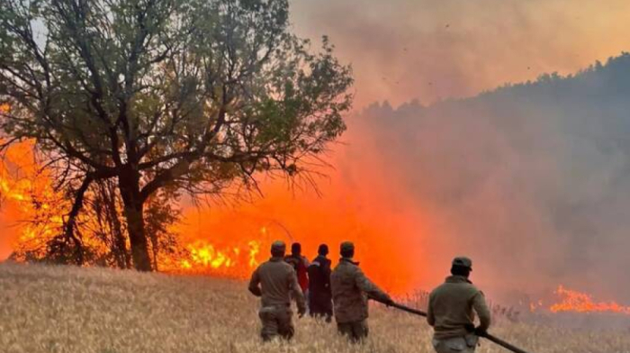 Ten firefighters killed, 14 injured in Türkiye wildfires