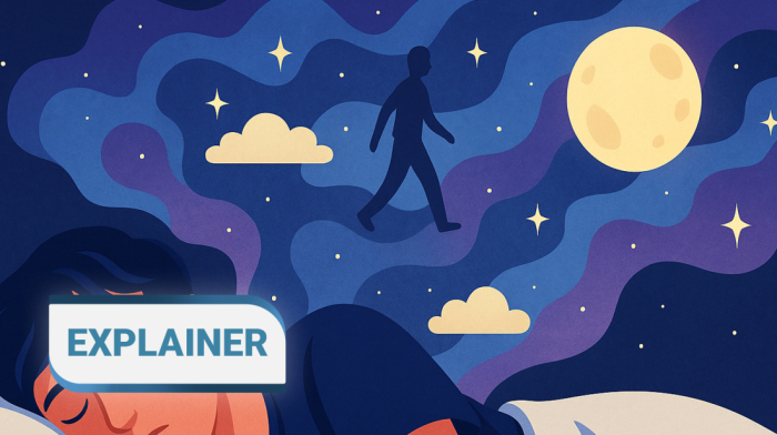 EXPLAINER - Why do we dream, and what can dreams really tell us?