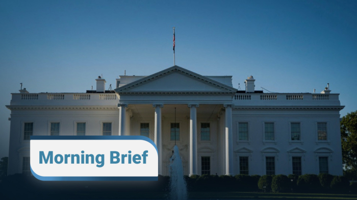AnewZ Morning Brief - 29th July, 2025