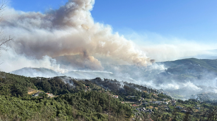 Portugal battles three large wildfires in sweltering summer heat