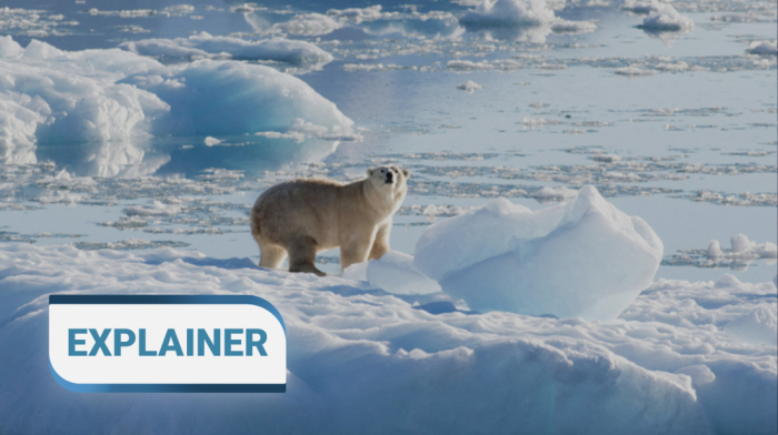 EXPLAINER - Why melting glaciers matter far beyond the poles