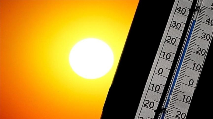 Severe heat in Portugal: 264 dead in one week as new heatwave triggers state of alert