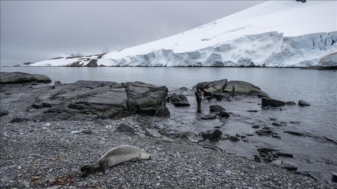 More than 40 ice age species found in Norway cave