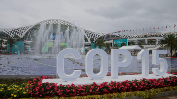 China’s Global Conservation Efforts Spotlighted at COP15