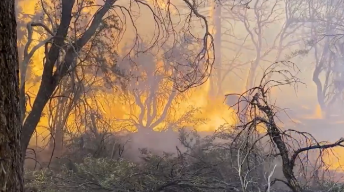 California fire has burned over 33,000 hectares with 9% containment