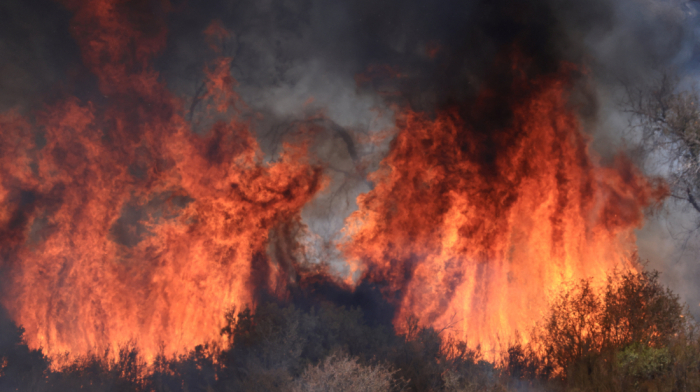 Colorado wildfire forces prison evacuation as fire grows among largest in state history