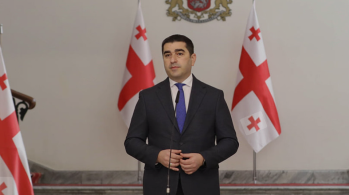 Georgian speaker criticizes EU over unimplemented 2008 ceasefire agreement and sanctions