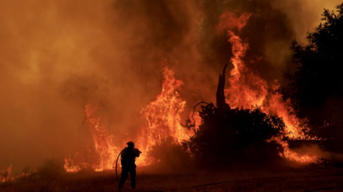 Forest fire sweeps through northern Morocco