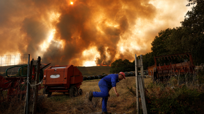 Wildfires rage in Zamora as Spain battles one of its worst fire seasons in decades