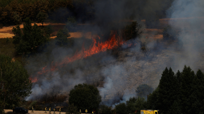 Spain battles wildfires as 115,000 hectares burn and thousands evacuated