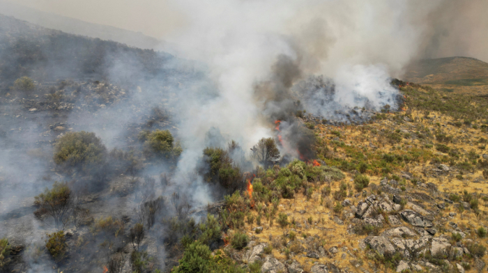 Portuguese firefighter injured as wildfires devastate Iberia