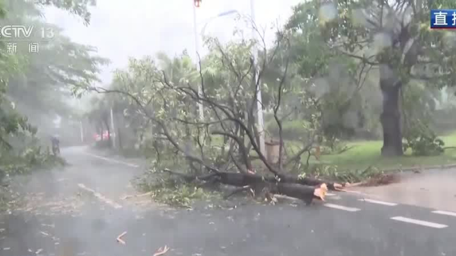 Typhoon Kajiki downs trees, drenches China's Hainan ahead of Vietnam landfall