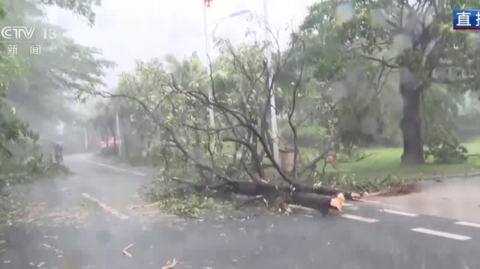 Typhoon Kajiki downs trees, drenches China's Hainan ahead of Vietnam landfall