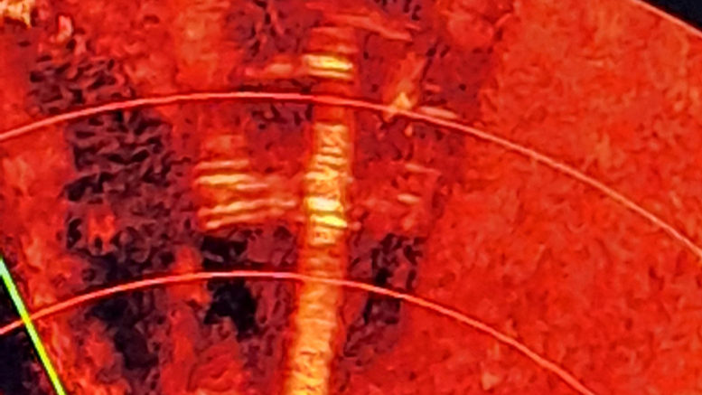 Suspects in Baltic Sea cable breaches on trial for sabotage in Finland