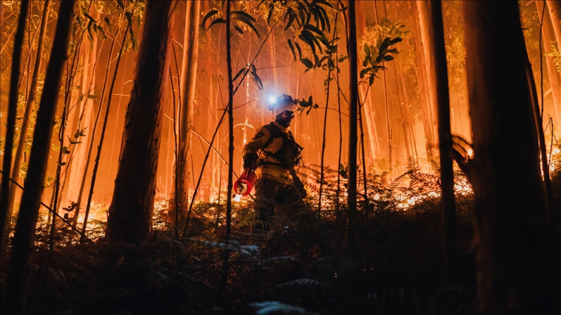 Wildfires in Spain burn ten times more land than last year