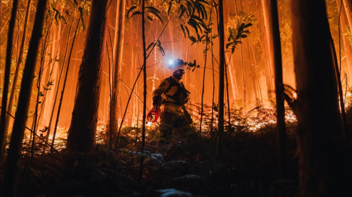 Wildfires in Spain burn ten times more land than last year