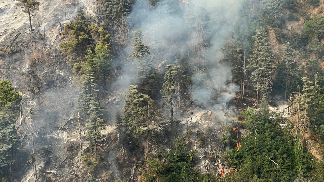 Algeria wildfire in Chrea mountains contained