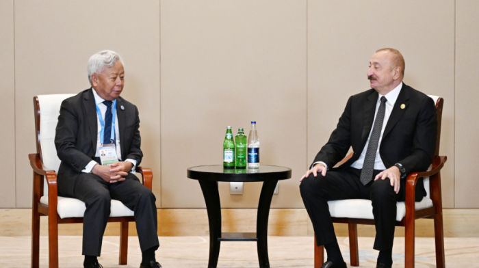 President Aliyev holds talks with President of Asian Infrastructure Investment Bank
